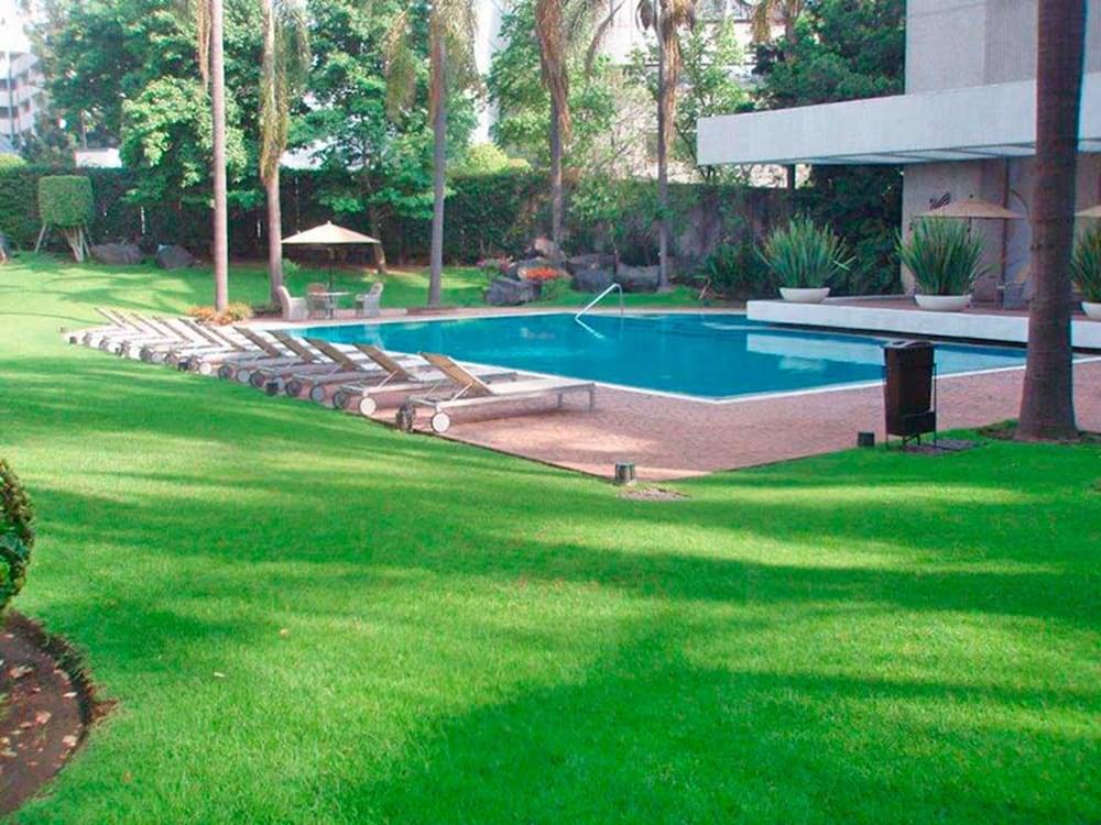 فندق رويال بيدريجال هوتل مدينة مكسيكو المظهر الخارجي الصورة The swimming pool at the hotel